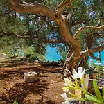 Jedra Beach Hvar