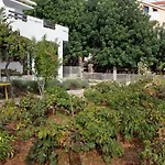 Apartments By The Sea Ivan Dolac, Hvar - 5709