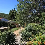 Seaside Holiday House Cove Rogacic, Vis - 8889