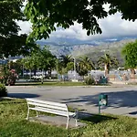 Olive Tree Apartments