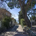 Apartments Ante