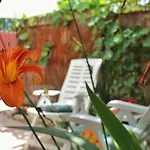 Apartment Taja, Cijela Kuca I Vrt Samo Za Vas