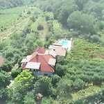 Villa Ana