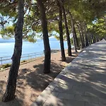 Mare