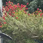 Vila Nimfa