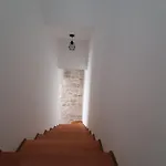 Ventula