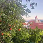 Leonica