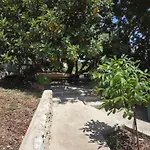 Studio Apartment Mileta