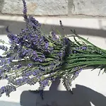 Kuca Za Odmor Skalina - Sea View