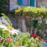 Holiday Home Lavanda Grubisic Tucepi