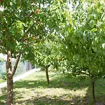 Villa Fig