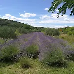 Guesthouse Villa Domenico