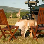 Temba Private Game Reserve