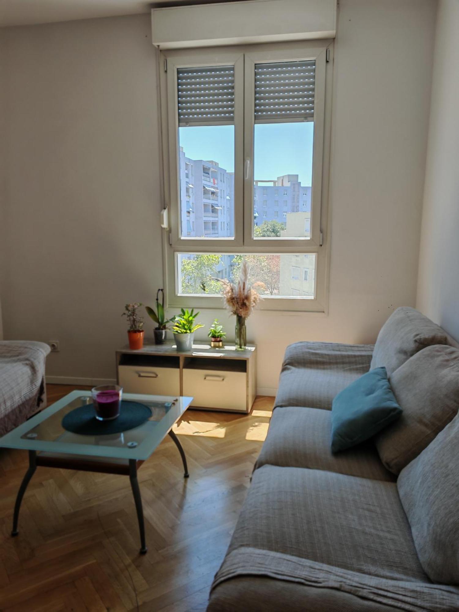 Apartman The Vibe *