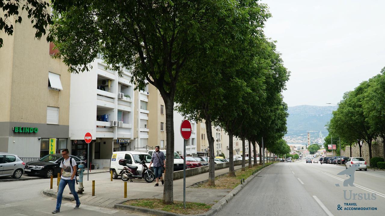 Duplex Tinel * Spalato